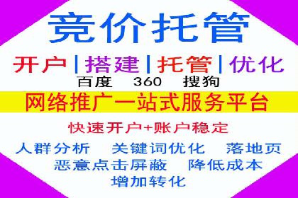 百度推广实战技巧：案例详解